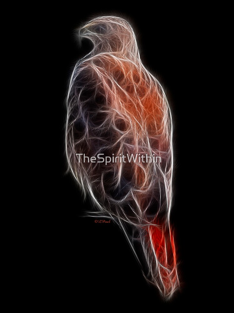 "Medicine Wheel Totem Animals by Liane Pinel Red Tailed Hawk" by