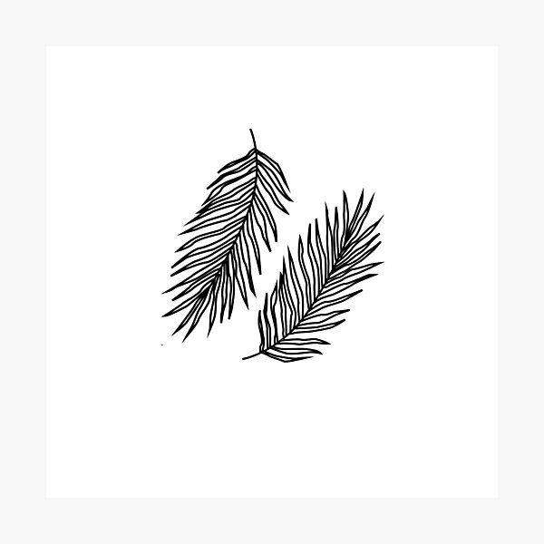 Perfect Plants Photographic Print