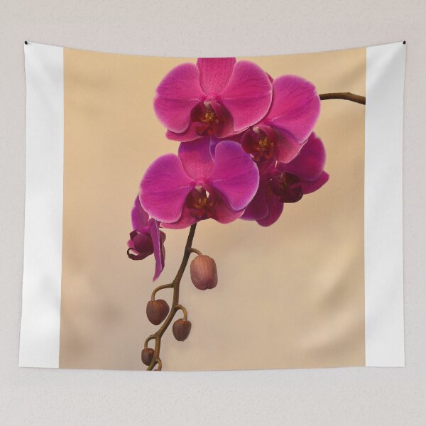 Item preview, Magenta Phalaenopsis  designed and sold by Catherine Sherman.