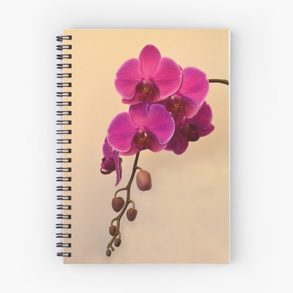 Item preview, Magenta Phalaenopsis  designed and sold by Catherine Sherman.