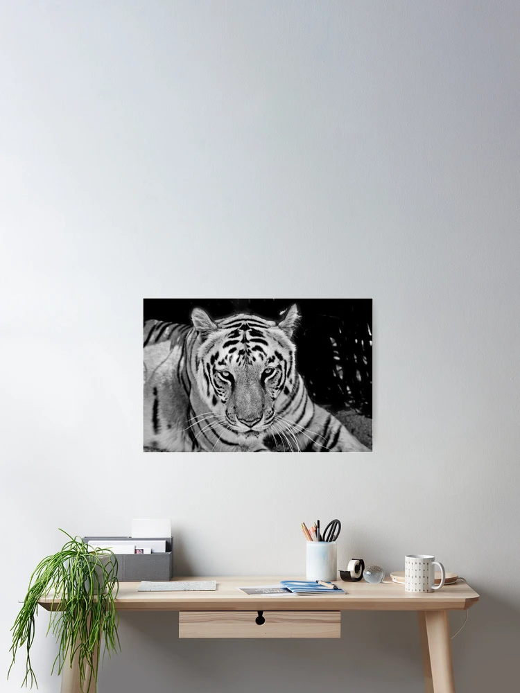 Thumbnail 2 of 3, Poster, Stripes designed and sold by Ravi Ghattamaneni.