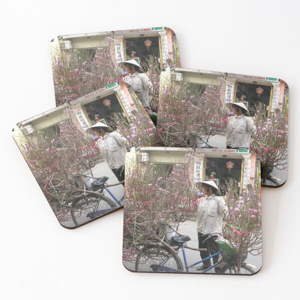 Item preview, Bicycle carriyng potted flowers, Hanoi, Vietnam designed and sold by worldways.