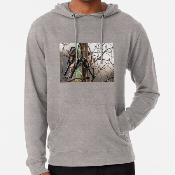 long tail sweatshirts