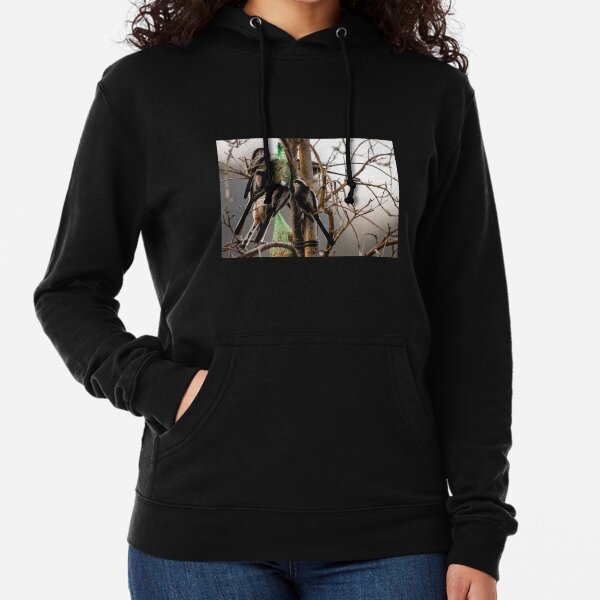 long tail sweatshirts