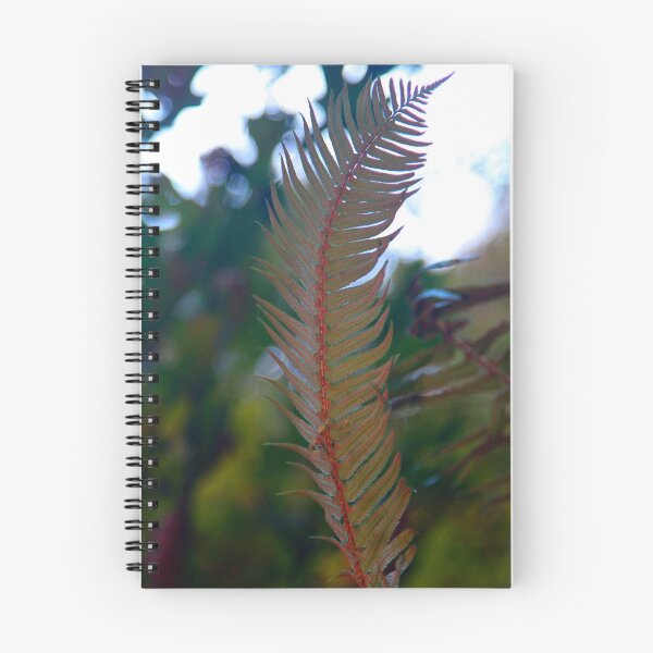 Aperçu de l'œuvre Lonely Fern créée et vendue par MissMimi63.