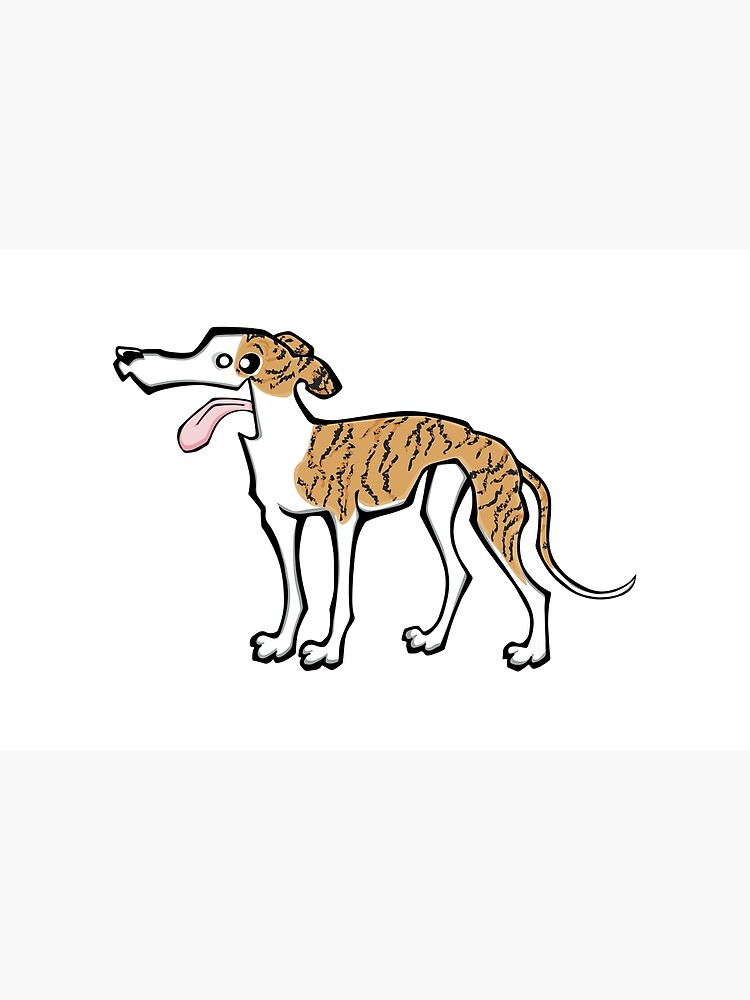 light brindle greyhound