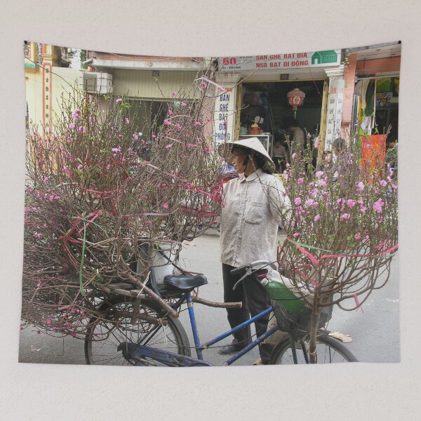 Item preview, Bicycle carriyng potted flowers, Hanoi, Vietnam designed and sold by worldways.