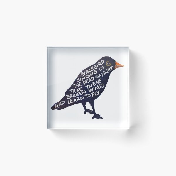 singing in the dead of night Acrylic Block
