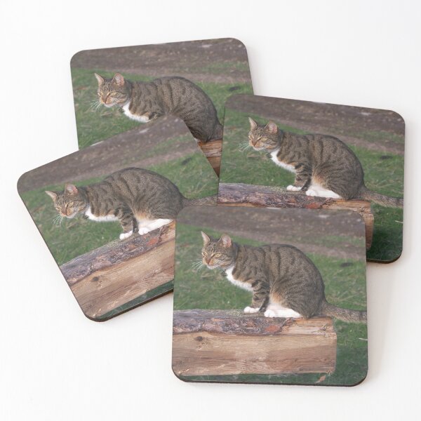 Item preview, Unimpressed cat designed and sold by turniptowers.