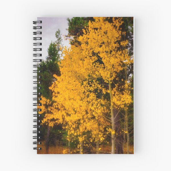 Item preview, Ashton Idaho - Season Of Color (p) designed and sold by IMAGETAKERS.