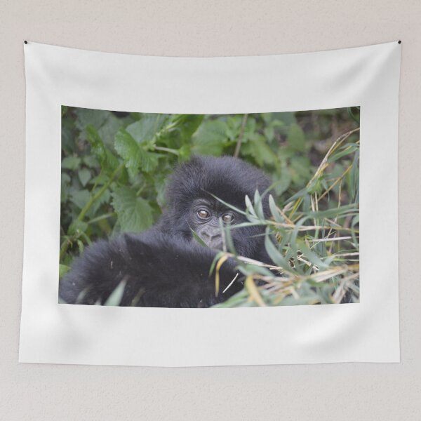Item preview, baby mountain gorilla rwanda designed and sold by JIM-AND-ME.