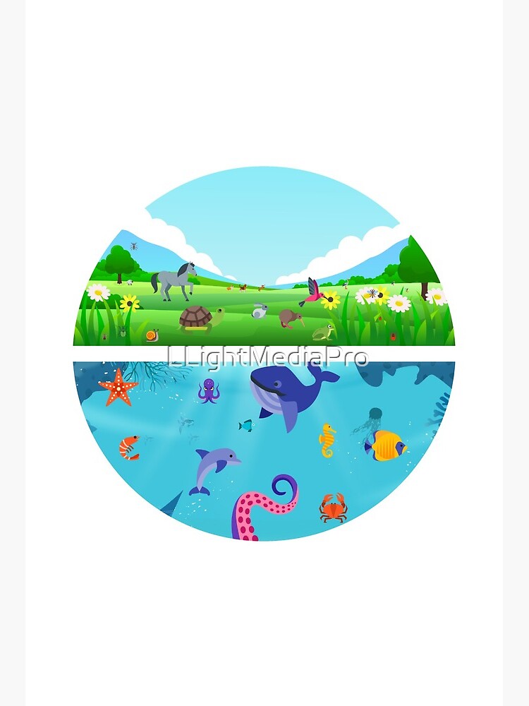 Land - Water Animals Land - Water Animals