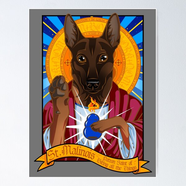 St. Malinois Poster