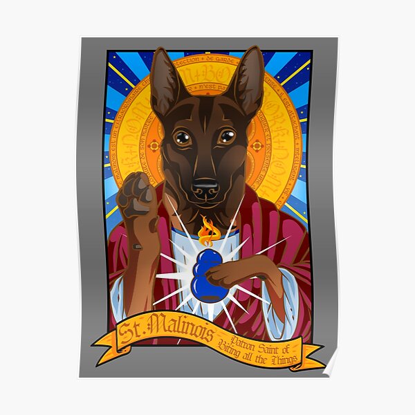 St. Malinois Poster