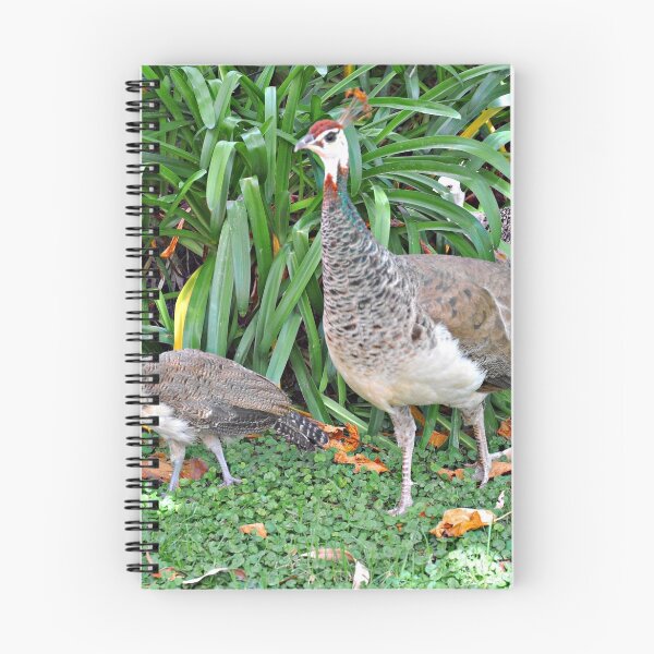 Item preview, Aves en el jardín.................. designed and sold by cieloverde.
