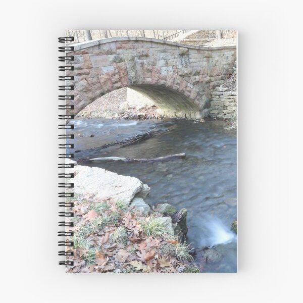 Item preview, Dunning's Springs Park, December 2019 #2 designed and sold by Rachel Jeffrey.