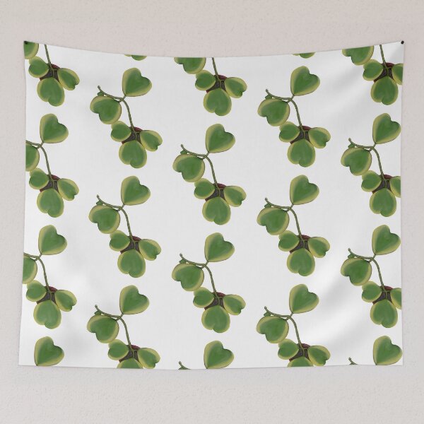 Item preview, Hoya Kerrii  designed and sold by mnrl.