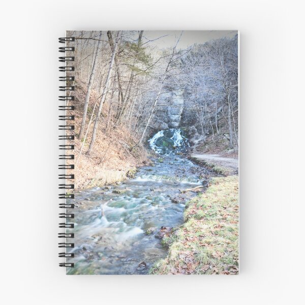 Item preview, Dunning's Springs Park, December 2019 #6 designed and sold by Rachel Jeffrey.