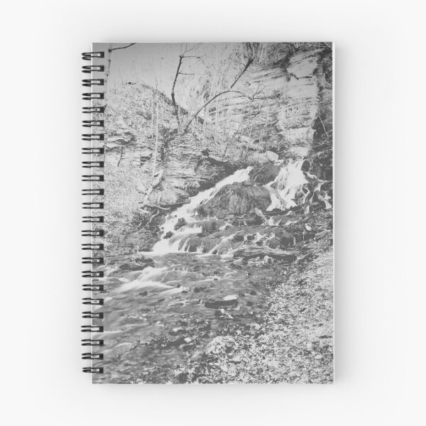 Item preview, Dunning's Springs Park, December 2019 #7 designed and sold by Rachel Jeffrey.