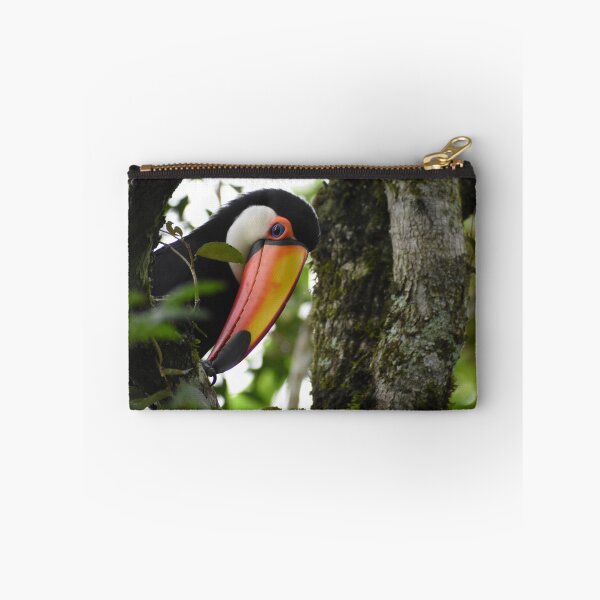 Item preview, Argentine toucan designed and sold by JIM-AND-ME.