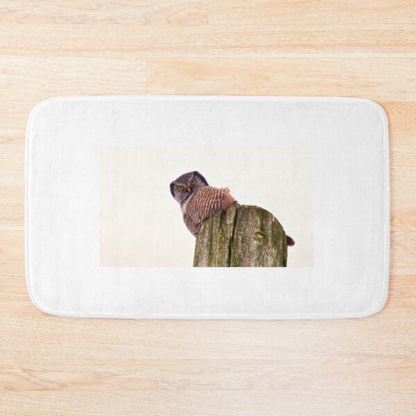 Item preview, Barred Owl designed and sold by colorfulbundles.