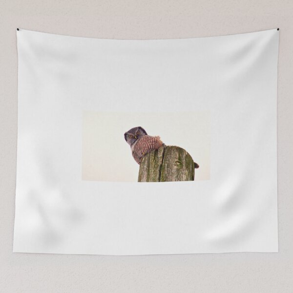Item preview, Barred Owl designed and sold by colorfulbundles.