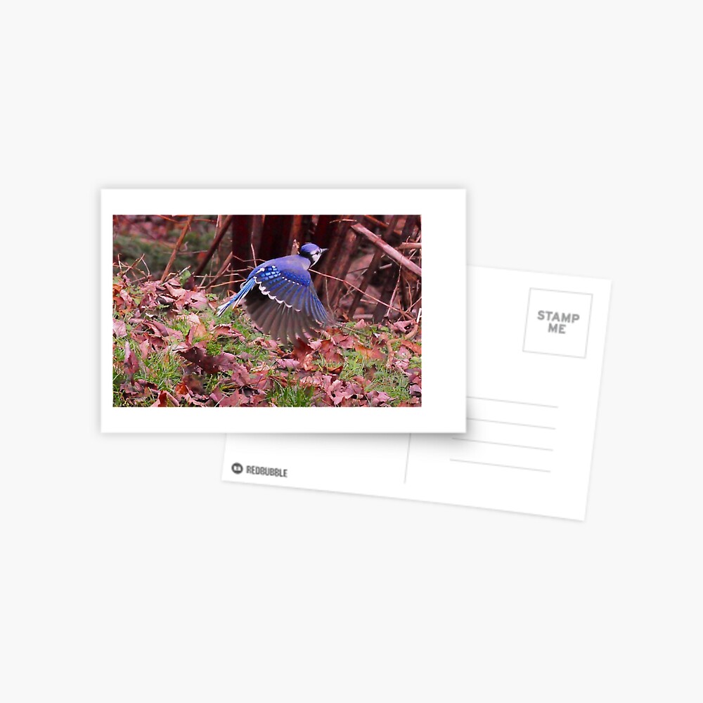 Item preview, Postcard designed and sold by lobaina1979.