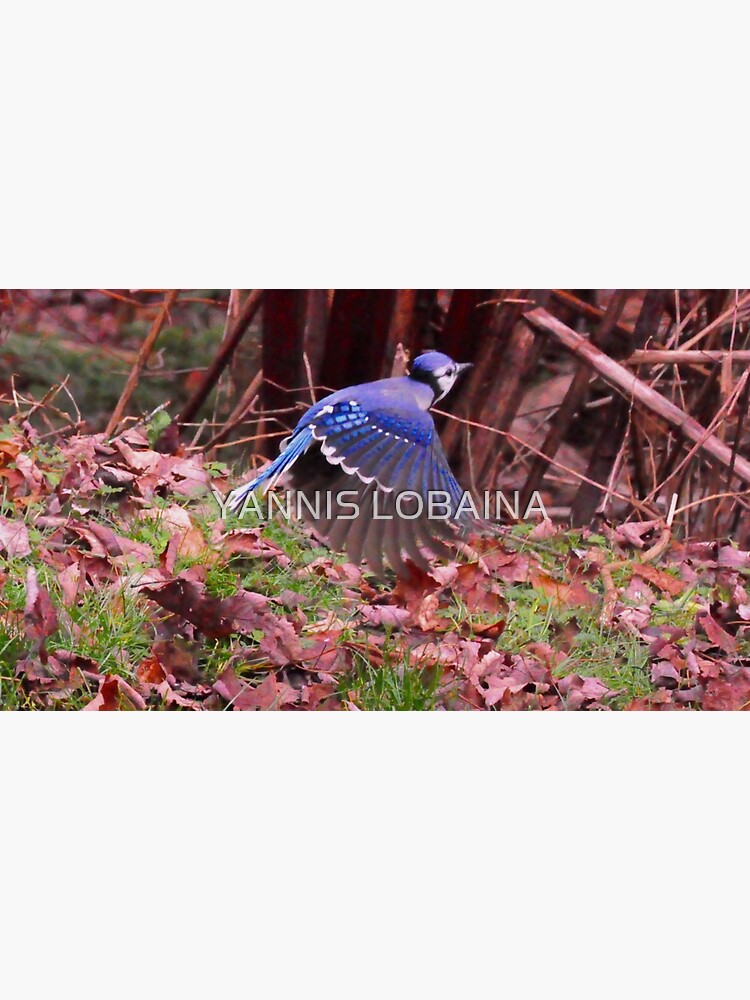 Thumbnail 3 of 3, Sticker, Totem bird_blue Jays_by Yannis Lobaina designed and sold by YANNIS LOBAINA.