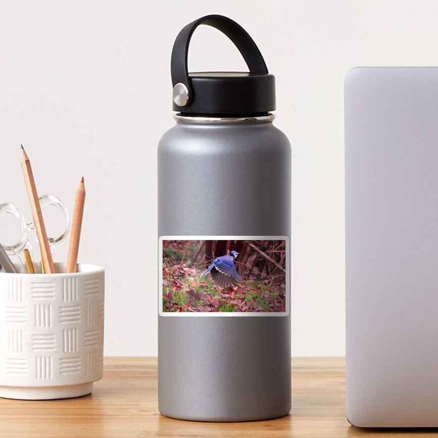 Totem bird_blue Jays_by Yannis Lobaina Sticker