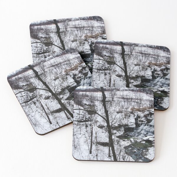 Item preview, Albion Falls Gorge Winter designed and sold by SRosuphotos.
