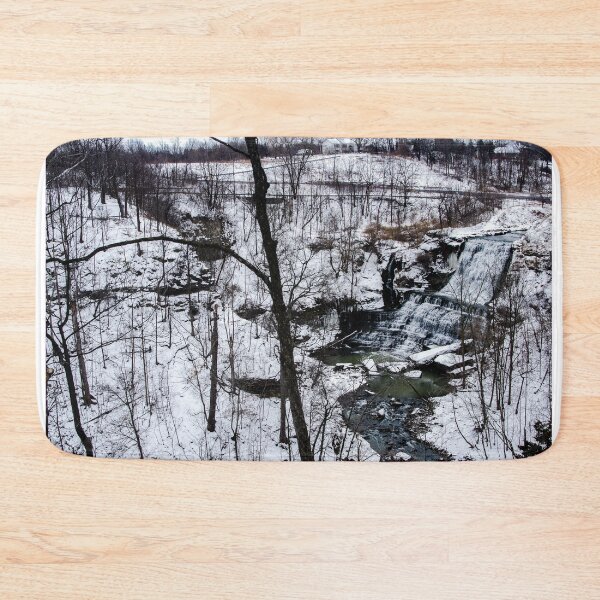 Item preview, Albion Falls Gorge Winter designed and sold by SRosuphotos.
