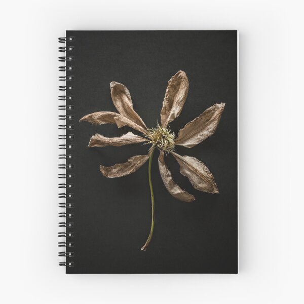 Item preview, Dried Clematis Flower designed and sold by Richard Nixon.