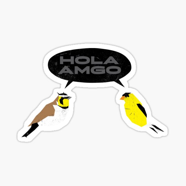 HOLA AMGO Sticker