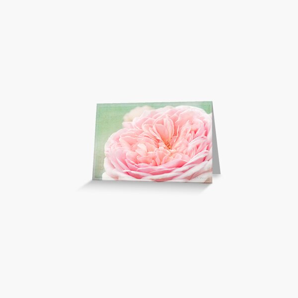 French Kiss Rose Greeting Card