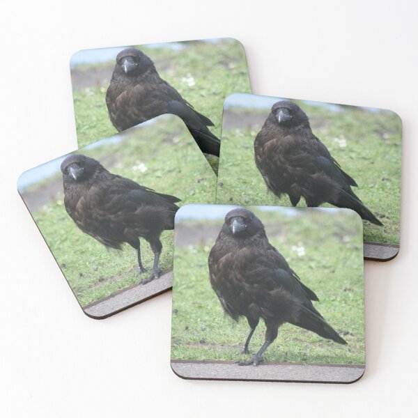 Item preview, Posing Carrion Crow Photograph designed and sold by naturegallery.