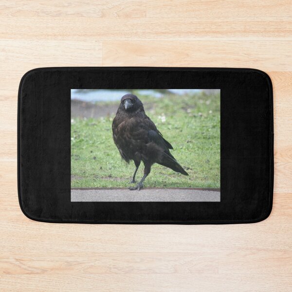 Item preview, Posing Carrion Crow Photograph designed and sold by naturegallery.