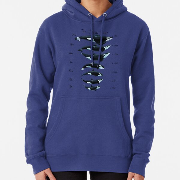 The Orlando Lineup 2014 Pullover Hoodie