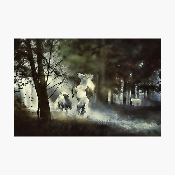 The Duel Photographic Print
