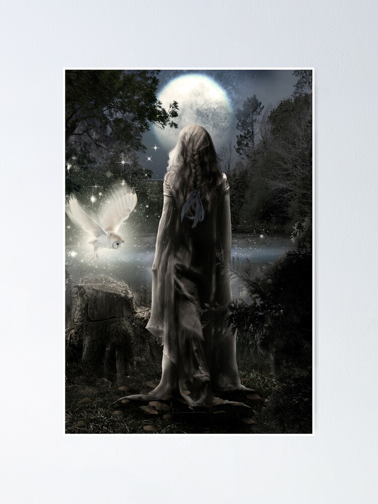 Thumbnail 1 of 3, Poster, In The Moonlight designed and sold by KarinClaesson.