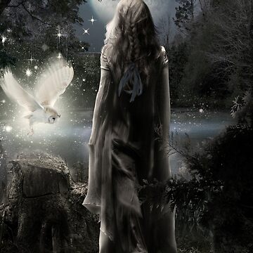 Artwork thumbnail, In The Moonlight by KarinClaessonArt