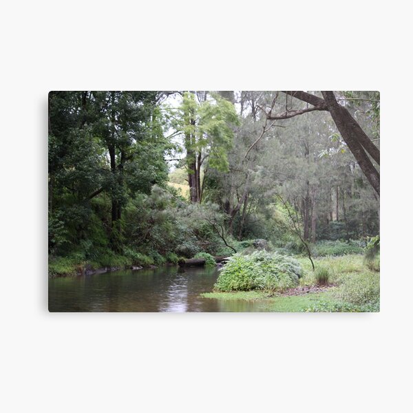 Item preview, Tallebudgera Creek During a Winter Sprinkle designed and sold by Robyn J. Blackford.