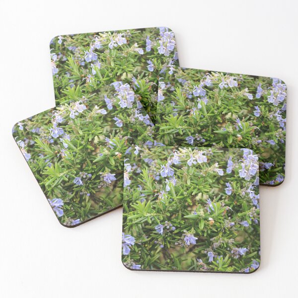 Item preview, Rosemary  designed and sold by pinkal.