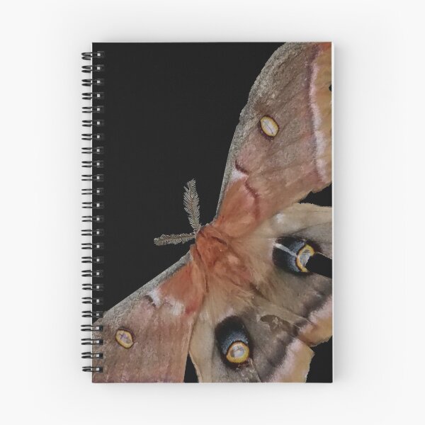 Item preview, MOTH designed and sold by STUDIOTHREE13.