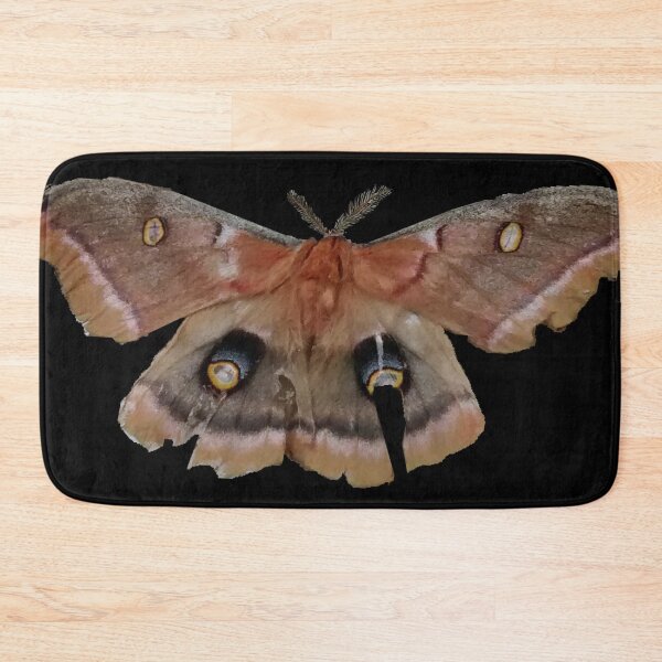 Item preview, MOTH designed and sold by STUDIOTHREE13.