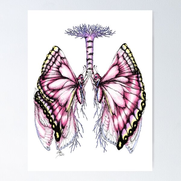 Pink Butterfly Lungs Poster