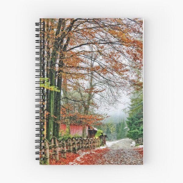 Item preview, Street of Seasons. designed and sold by Beata  Cz.  Young.