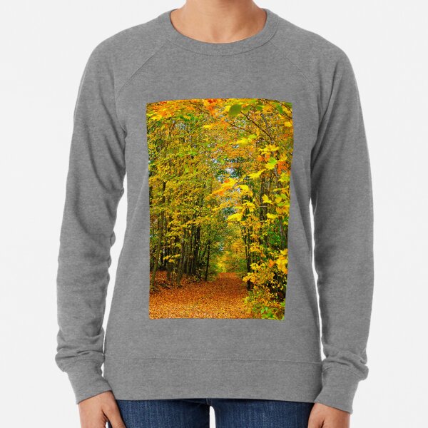 PATH TO AUTUMN COLOURS Lightweight Sweatshirt