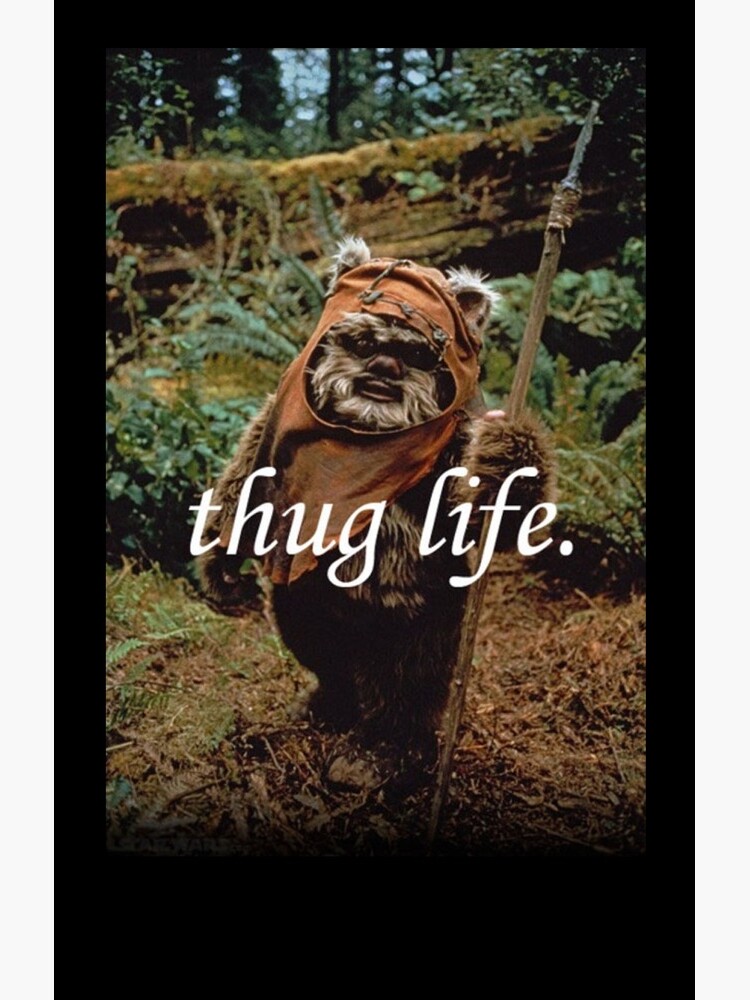 Ewok Thuggin' by evnmlr