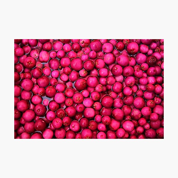Item preview, Australian Lilly Pilly Berries designed and sold by Jane McDougall.