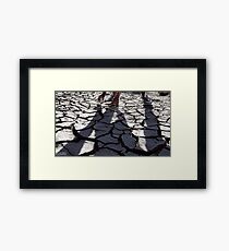 EARTH Framed Print